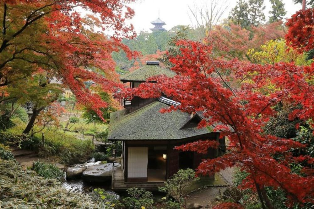 🏞️ 세 가지 경치의 정원 (산케이엔) 이미지 4